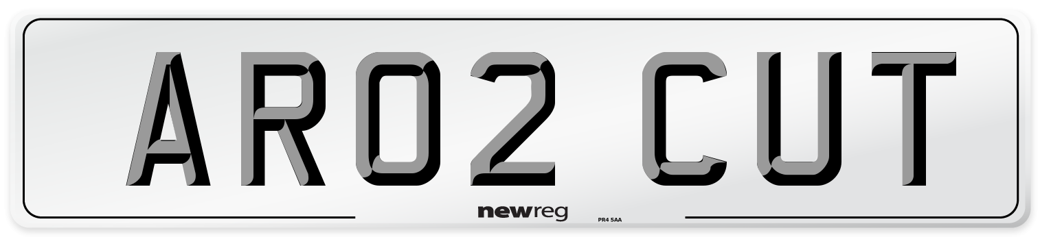 AR02 CUT Number Plate from New Reg
